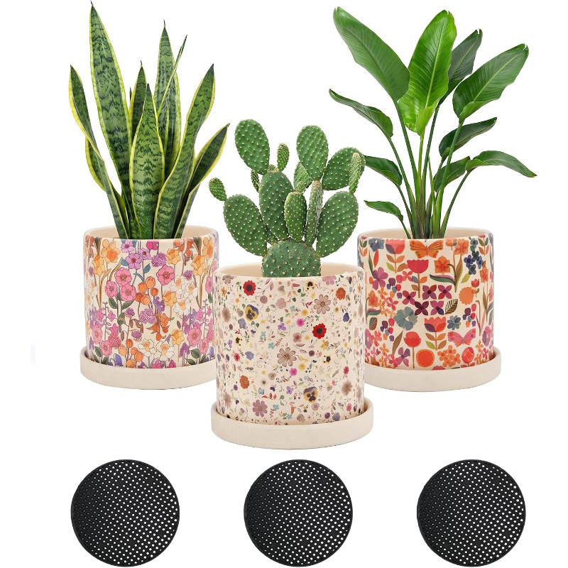 Snake Plant Ceramic - 3 шт. керамических кашпо с дренажными