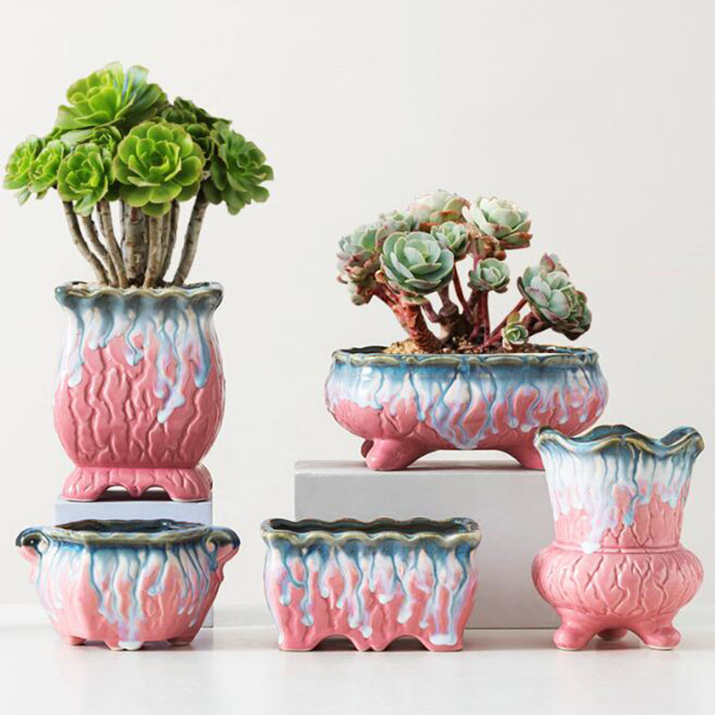 Креативный глазурованный семей – обзор и цена Snake Plant Ceramic