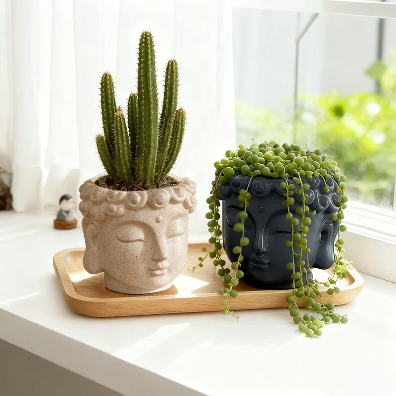 Статуэтка Будды Дзен из смолы, – обзор и цена Snake Plant Ceramic