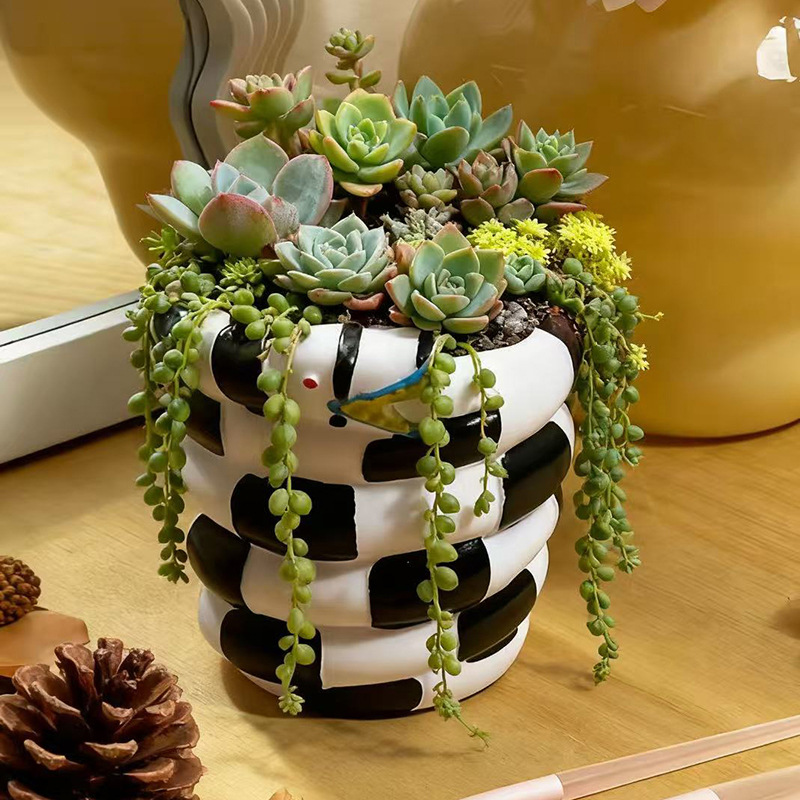 1 шт. черно-белый горшок для ц – обзор и цена Snake Plant Ceramic