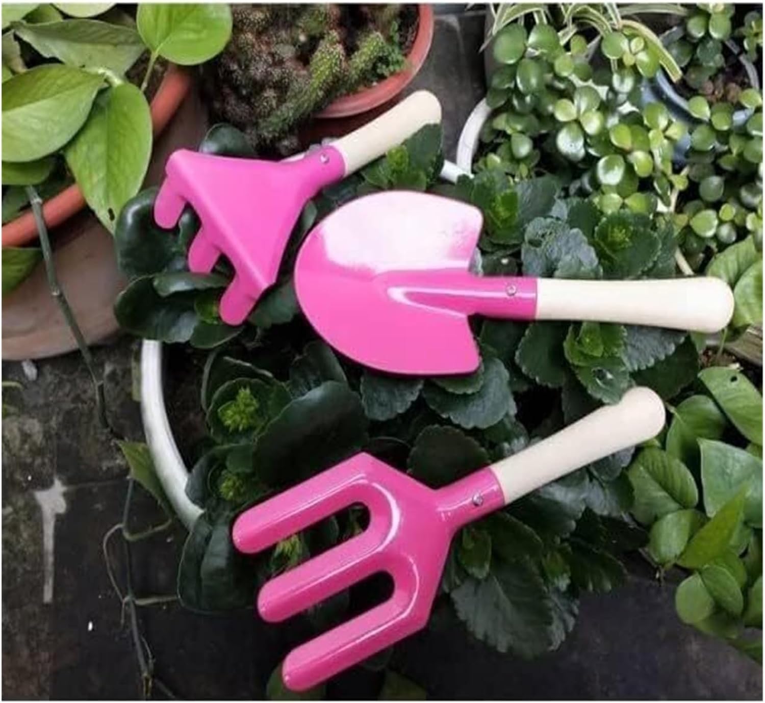 Набор мини-инструментов для са – обзор и цена Plant Parent Gift Set